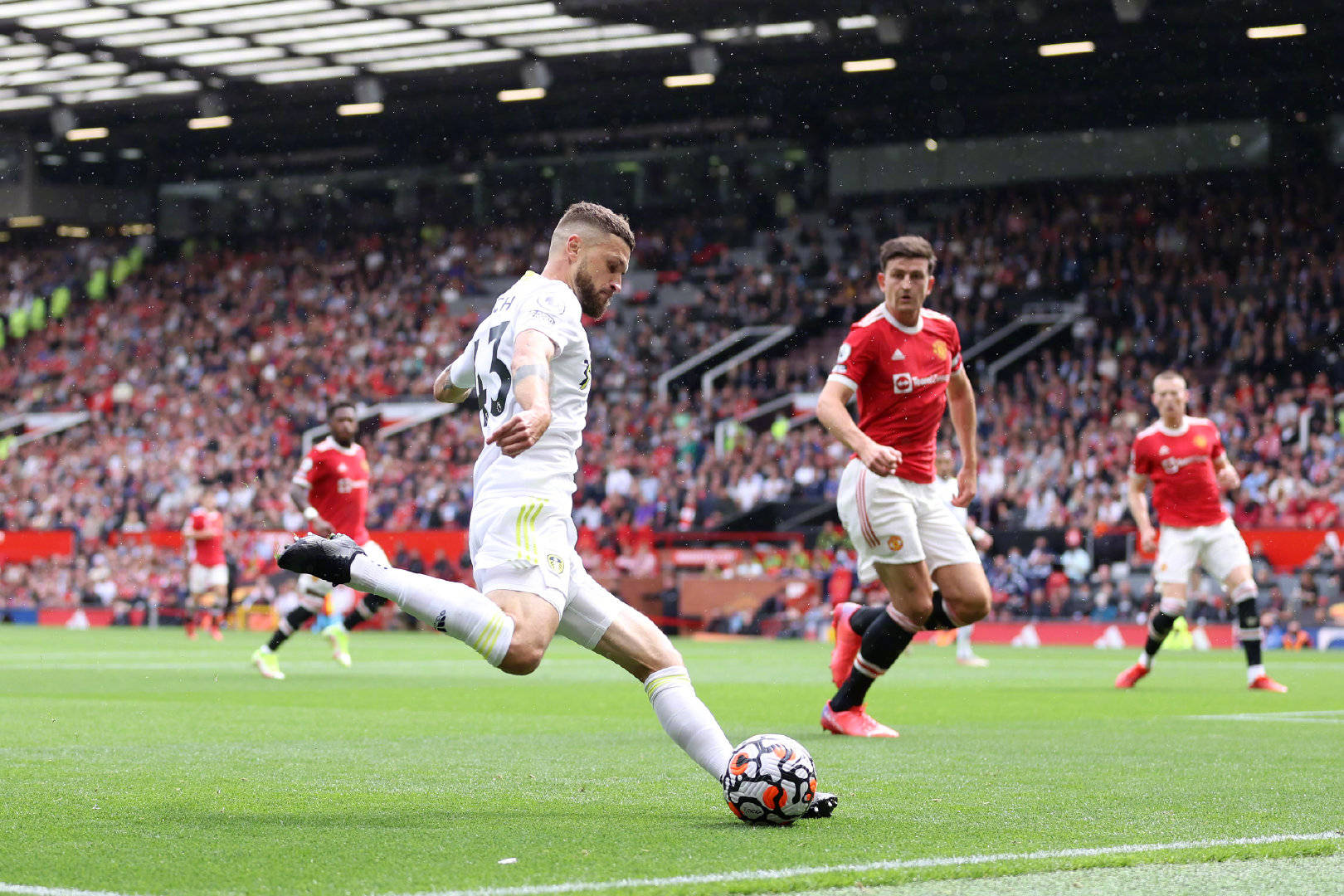 我们看到了 我们看到了